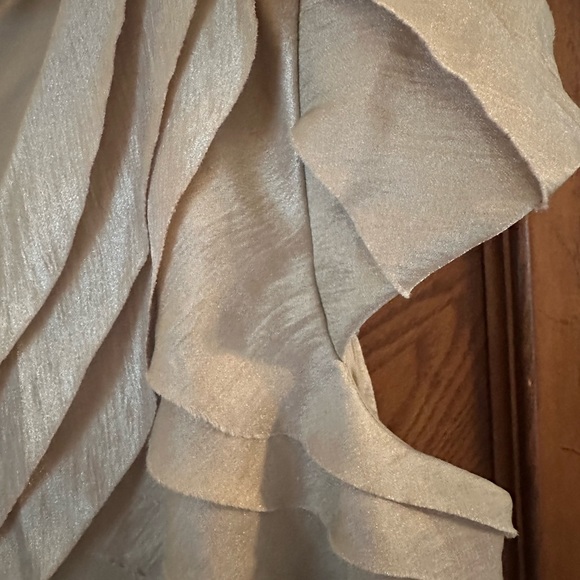 Stunning Champagne Colored Event Dress 20W - Picture 4 of 6